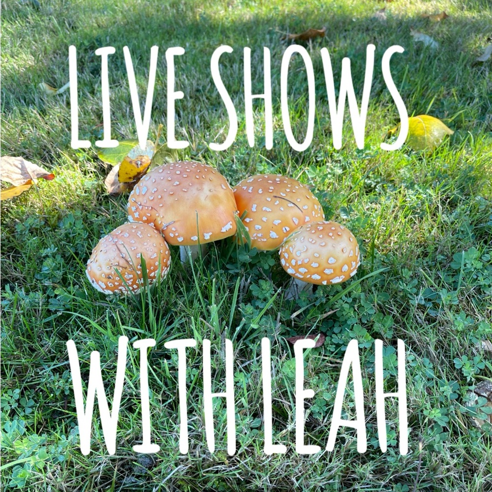 ✨WELCOME✨LIVE SHOWS WITH LEAH✨